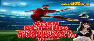 Taruhan Bola Resmi Login